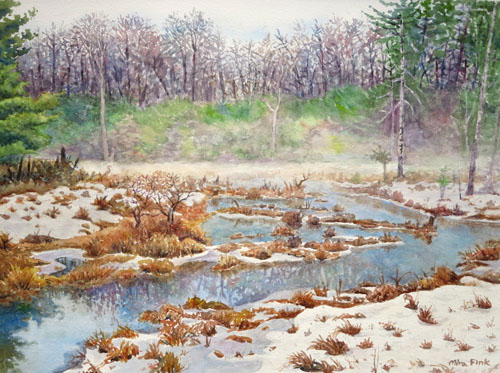 Misty Winter Wetland