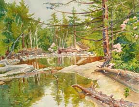 montain laurel stream