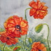 OrangePoppies