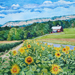 New_Paltz_Sunflowers