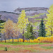 Spring_Fields_Mohonk