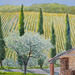 Vinyard_view_chianti