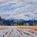 SnowyCornfieldCloudyDay